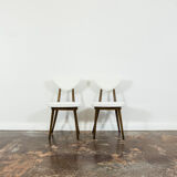 Set of 6 No. 124 Chairs by Helena & Jerzy Kurmanowicz, 1960s,