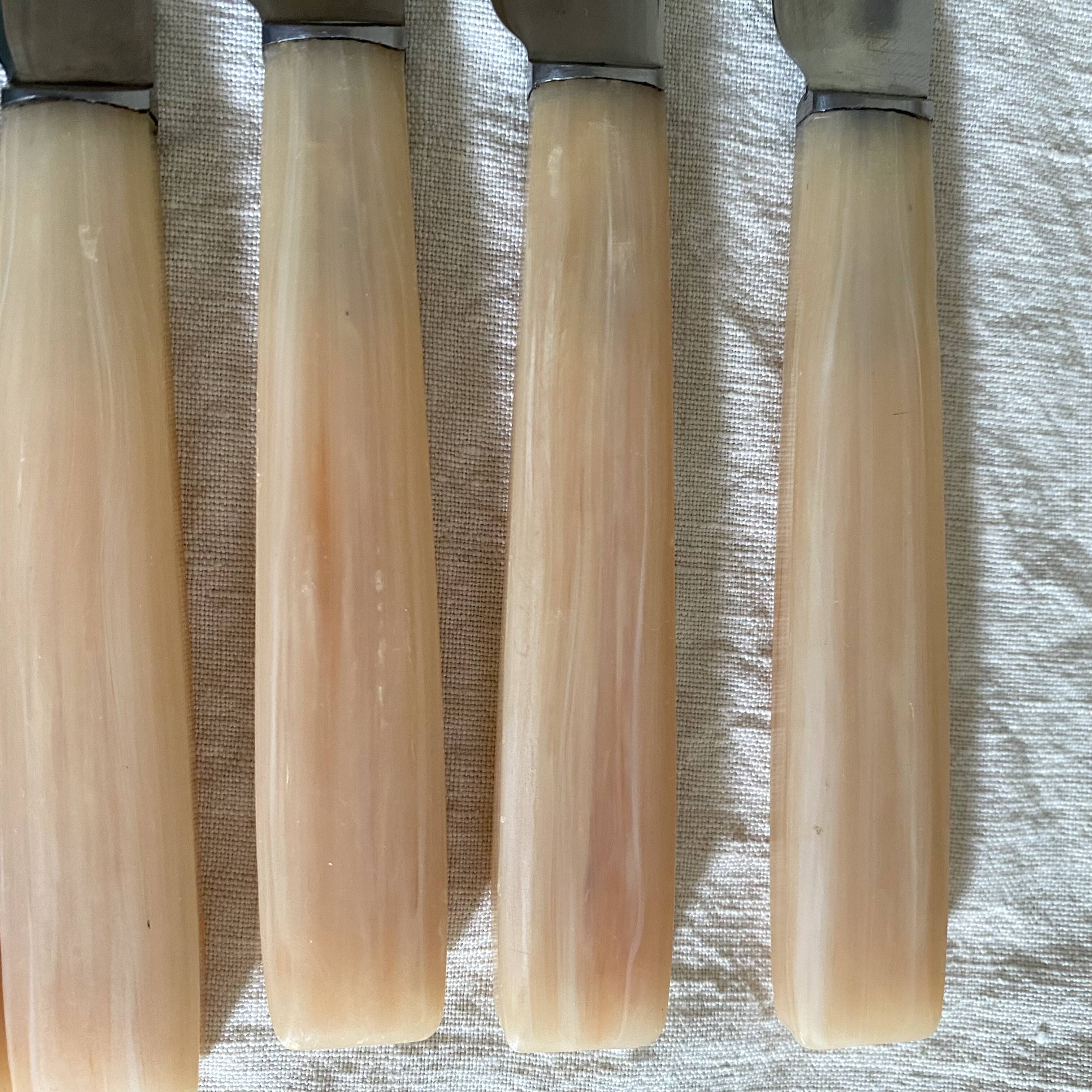 Vintage resin and stainless steel knives