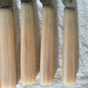 Vintage resin and stainless steel knives
