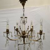 Grapefruit chandelier
