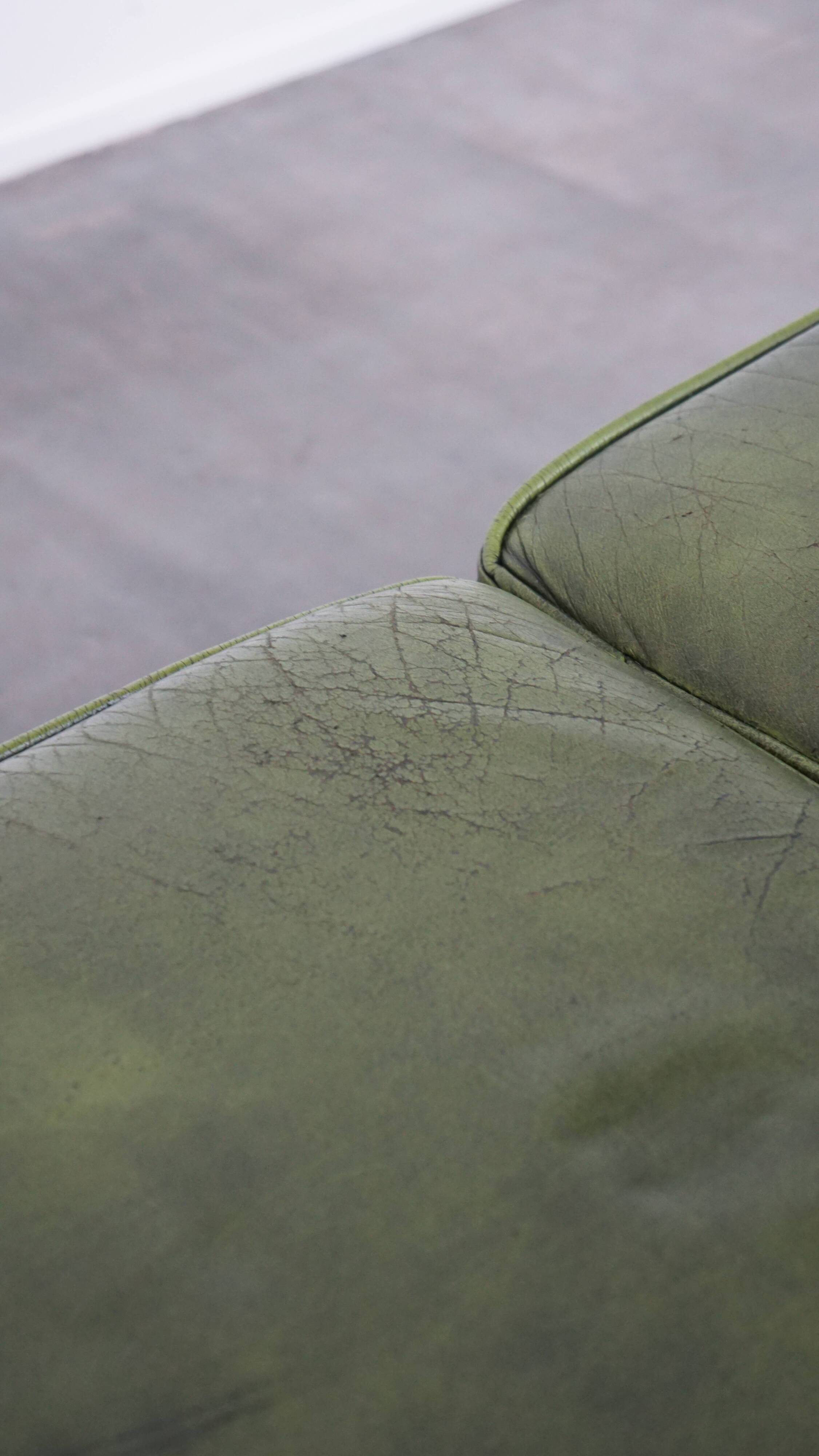 English Chesterfield 2-seater sofa in green cowhide leather