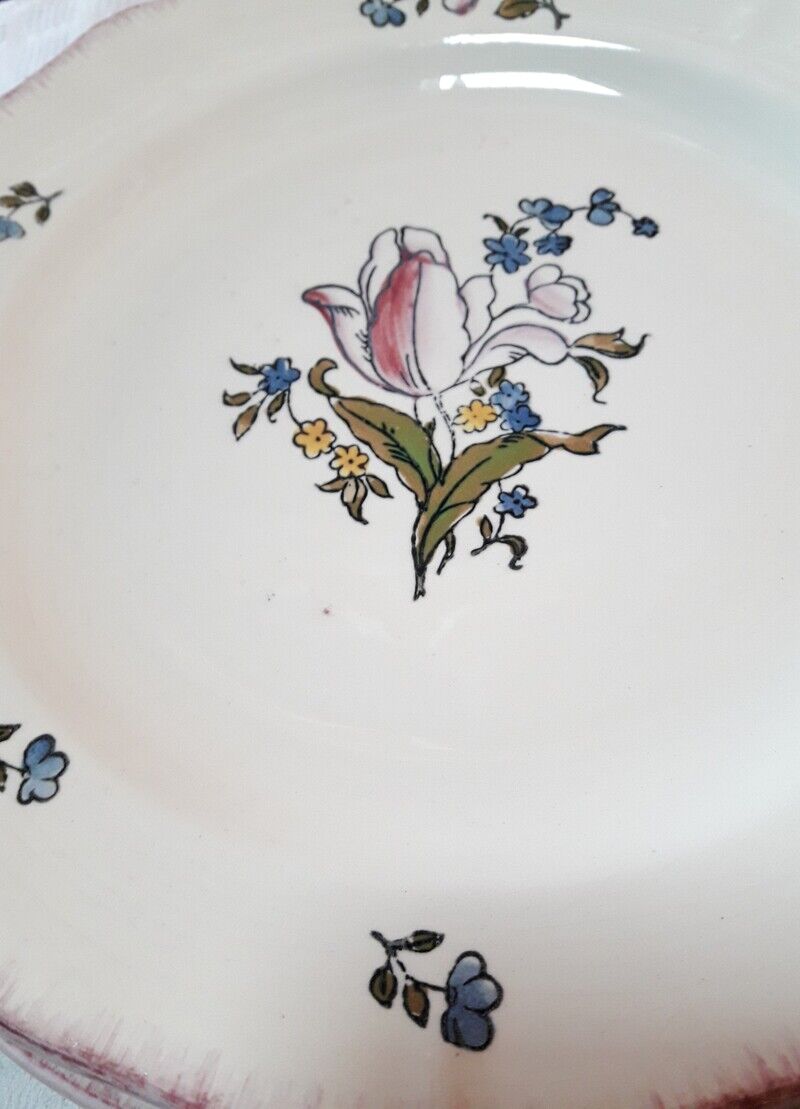 Set of 13 plates Gien earthenware 25cm