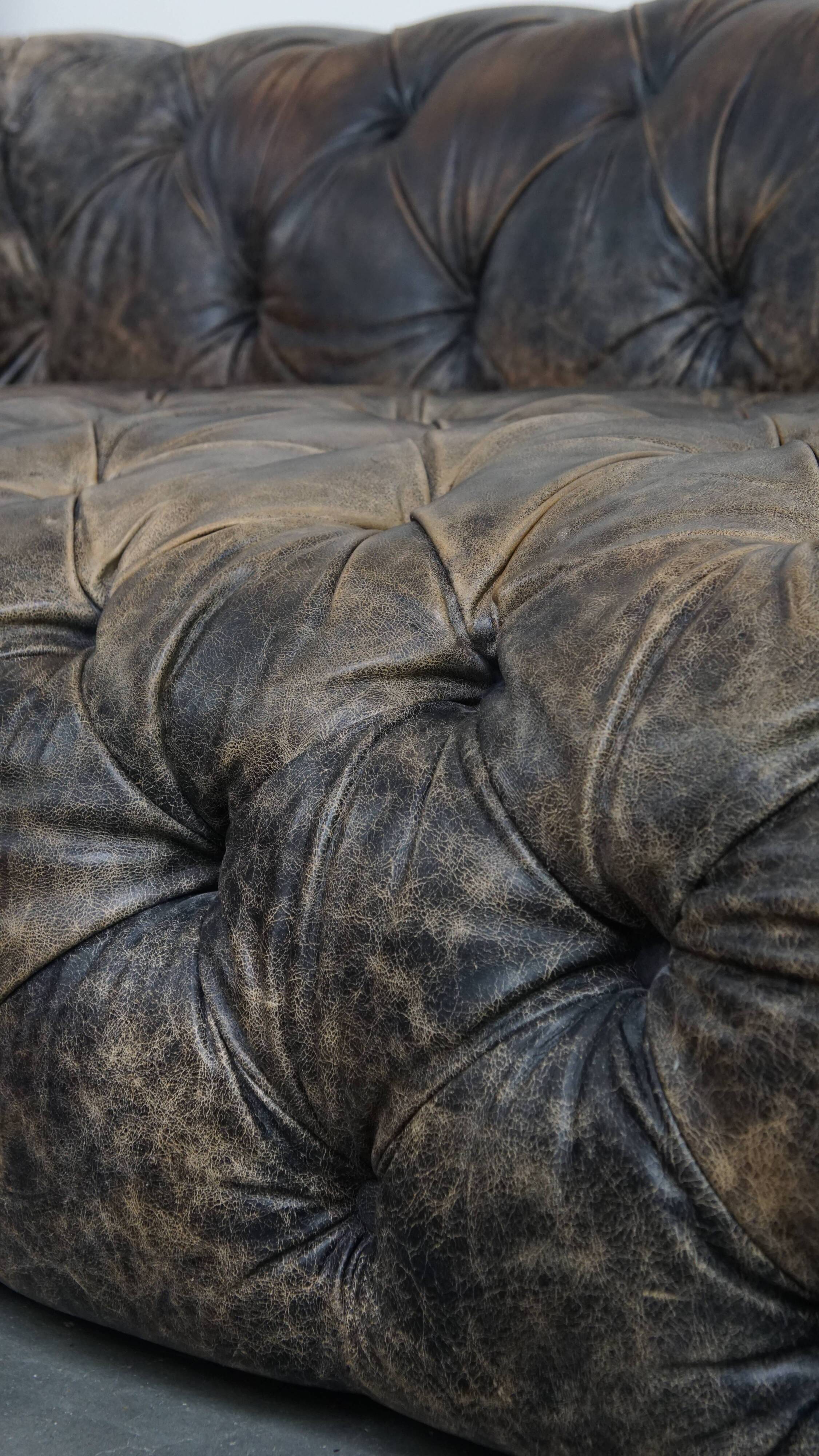 Chesterfield cowhide sofa