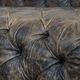 Chesterfield cowhide sofa