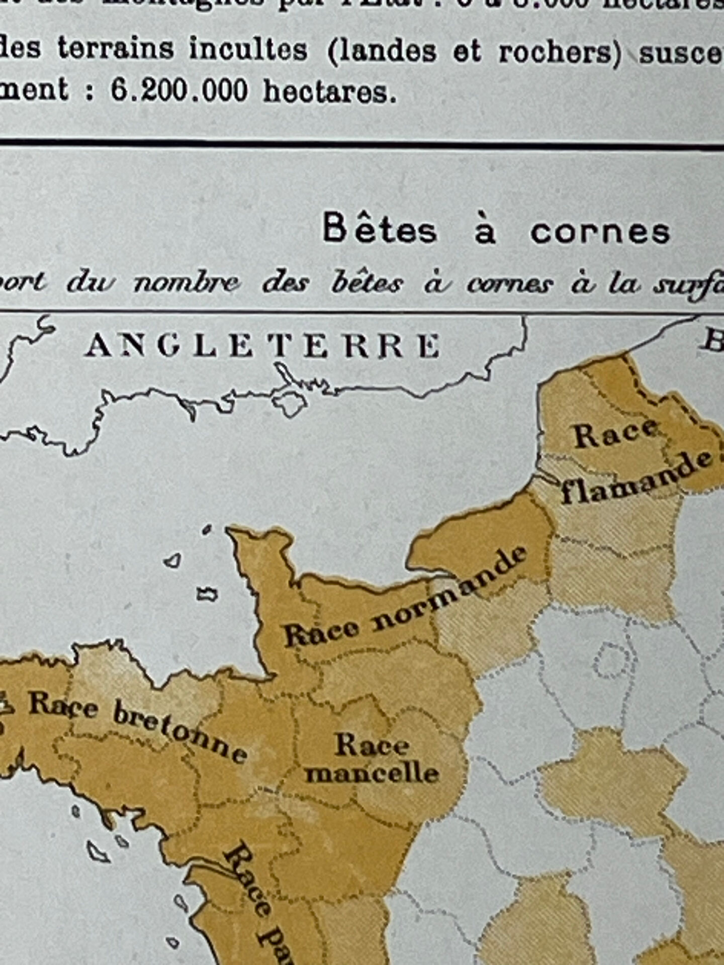 Double map plan France Agriculture Livestock 55.5x37.5cm