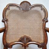 Chippendale Bergere Armchair, Carved Mahogany with Cane and Lion Claw Ball
