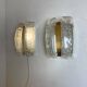 Glass and brass wall lights by Doria, 1960s
