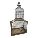 Birdcage 1900
