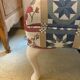 Patchwork wingback chair