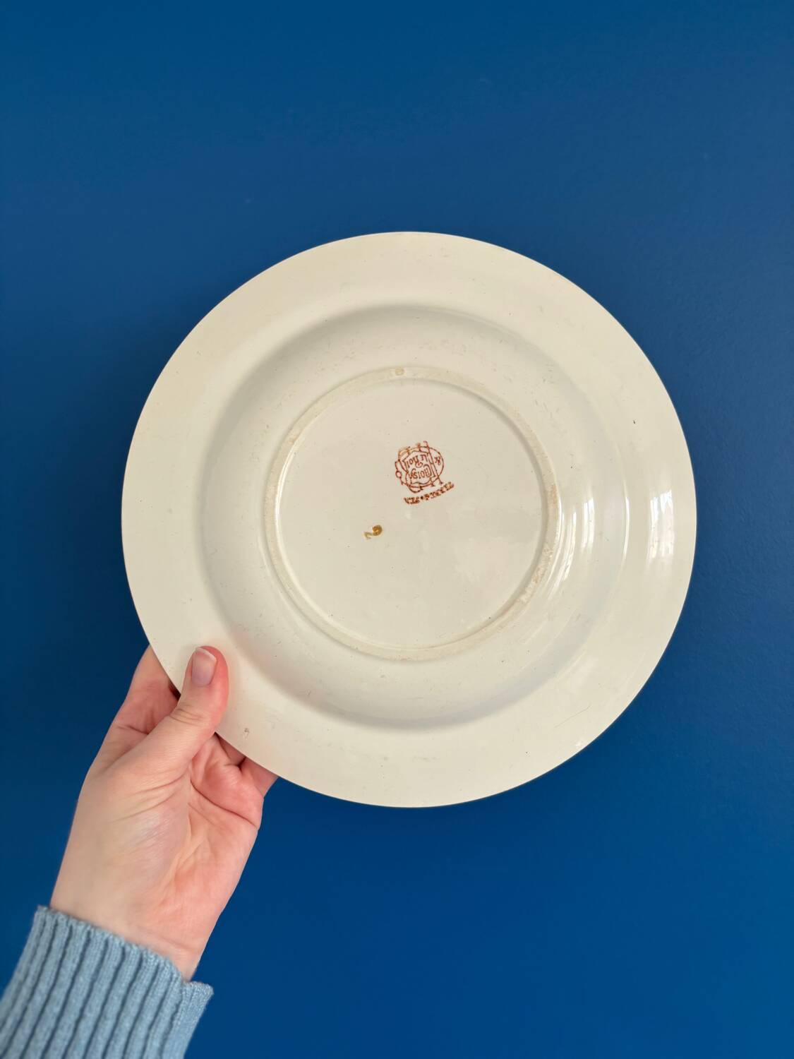 Set of 6 soup plates and 1 dish in polychrome ironstone Choisy-le-Roi