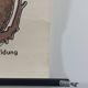 Vintage educational wall hanging roll chart biology