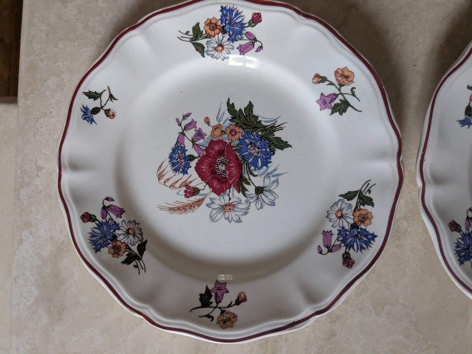 Two Sarreguemines Agreste dinner plates