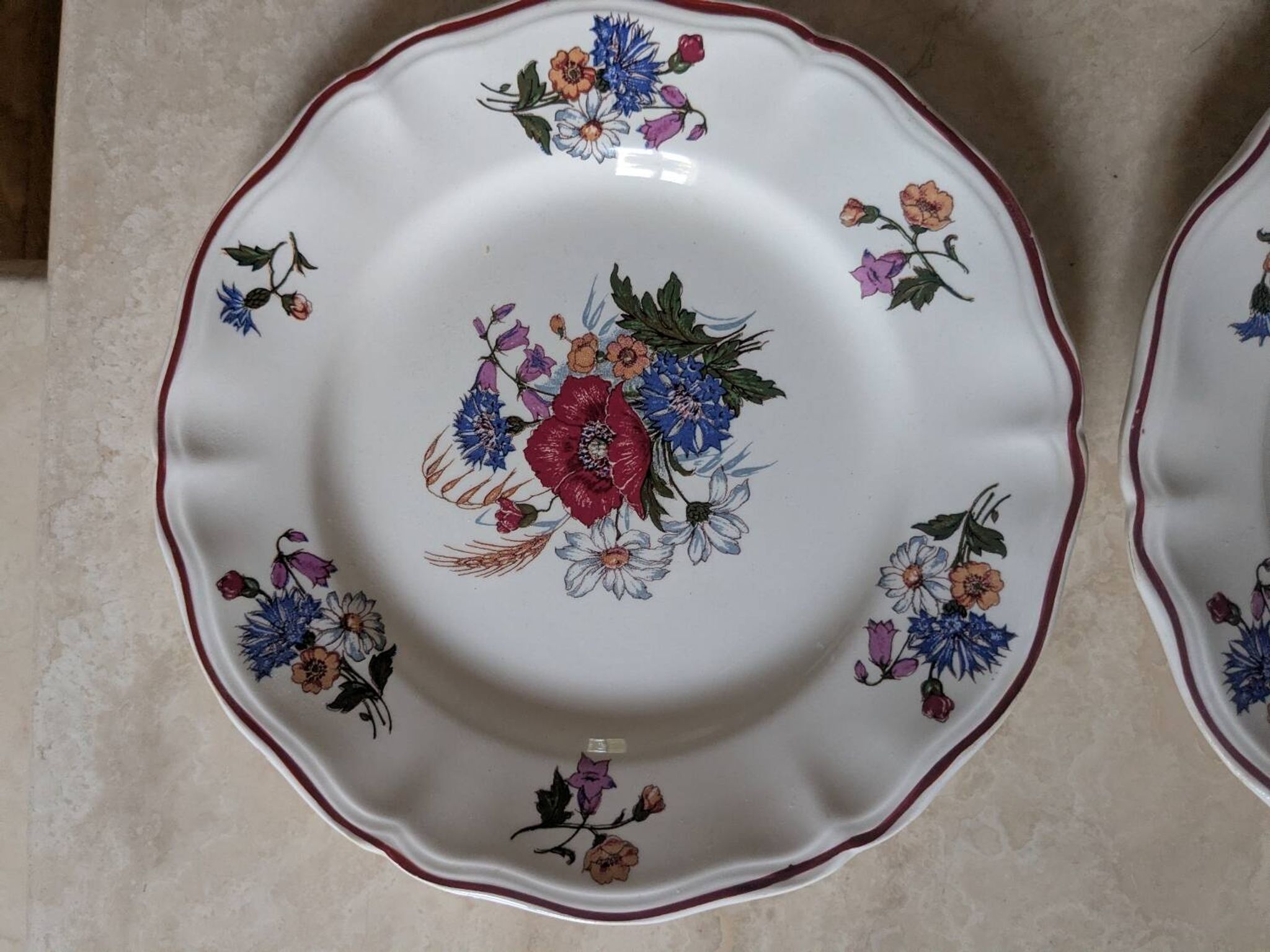 Deux assiettes plates Sarreguemines Agreste