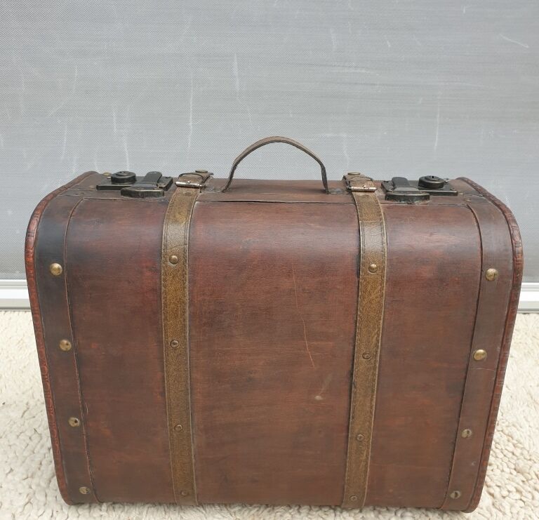Decorative poplar suitcase with 2 clasps