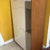 Secretary dino - cinna