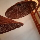 Pair of rattan suspensions