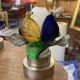 Rare série de 5 appliques de Murano Borek Sipek (1949-2016) forme de fleurs