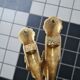 Pair of bronze kisses