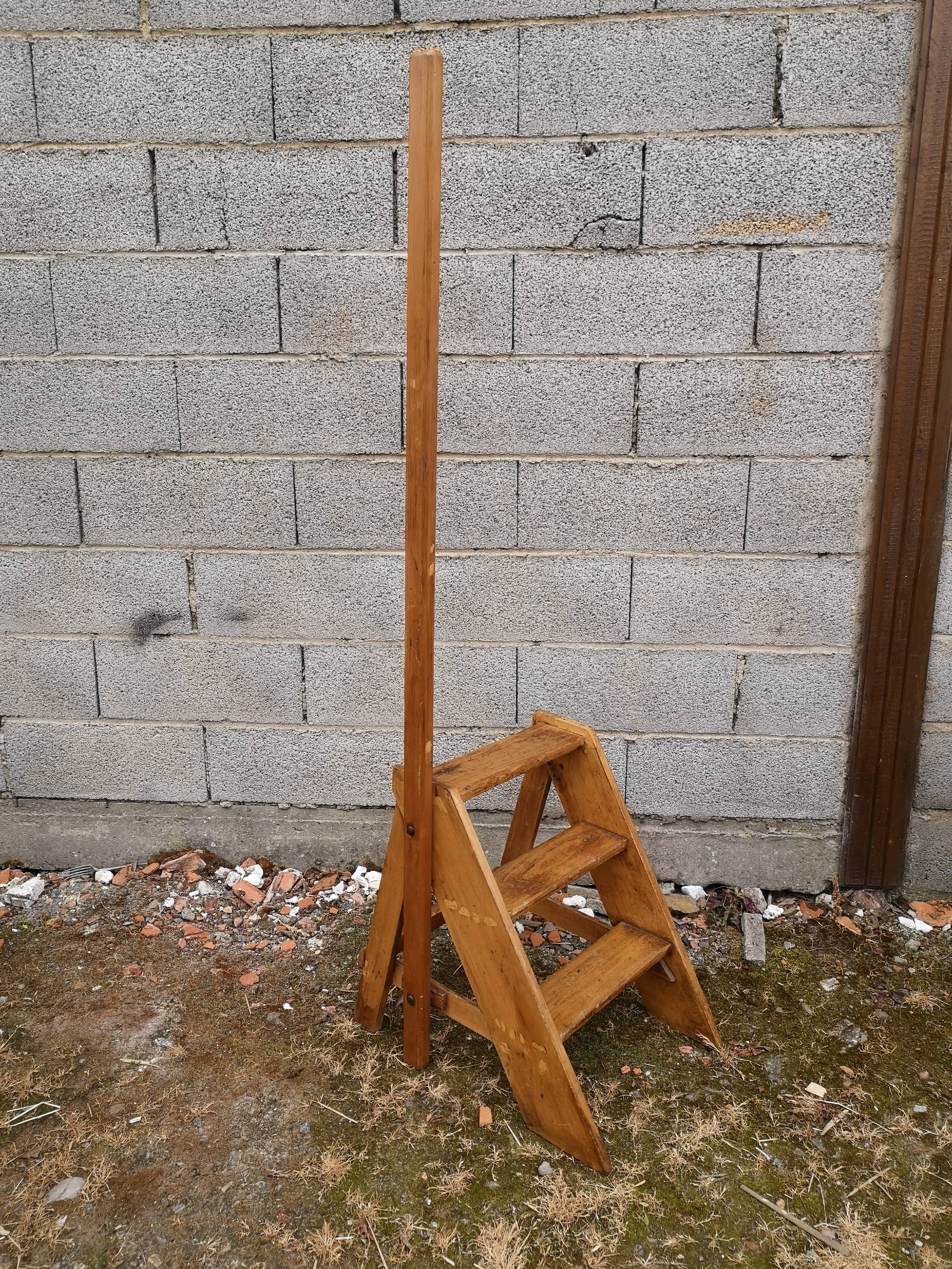 Library ladder said giraffe