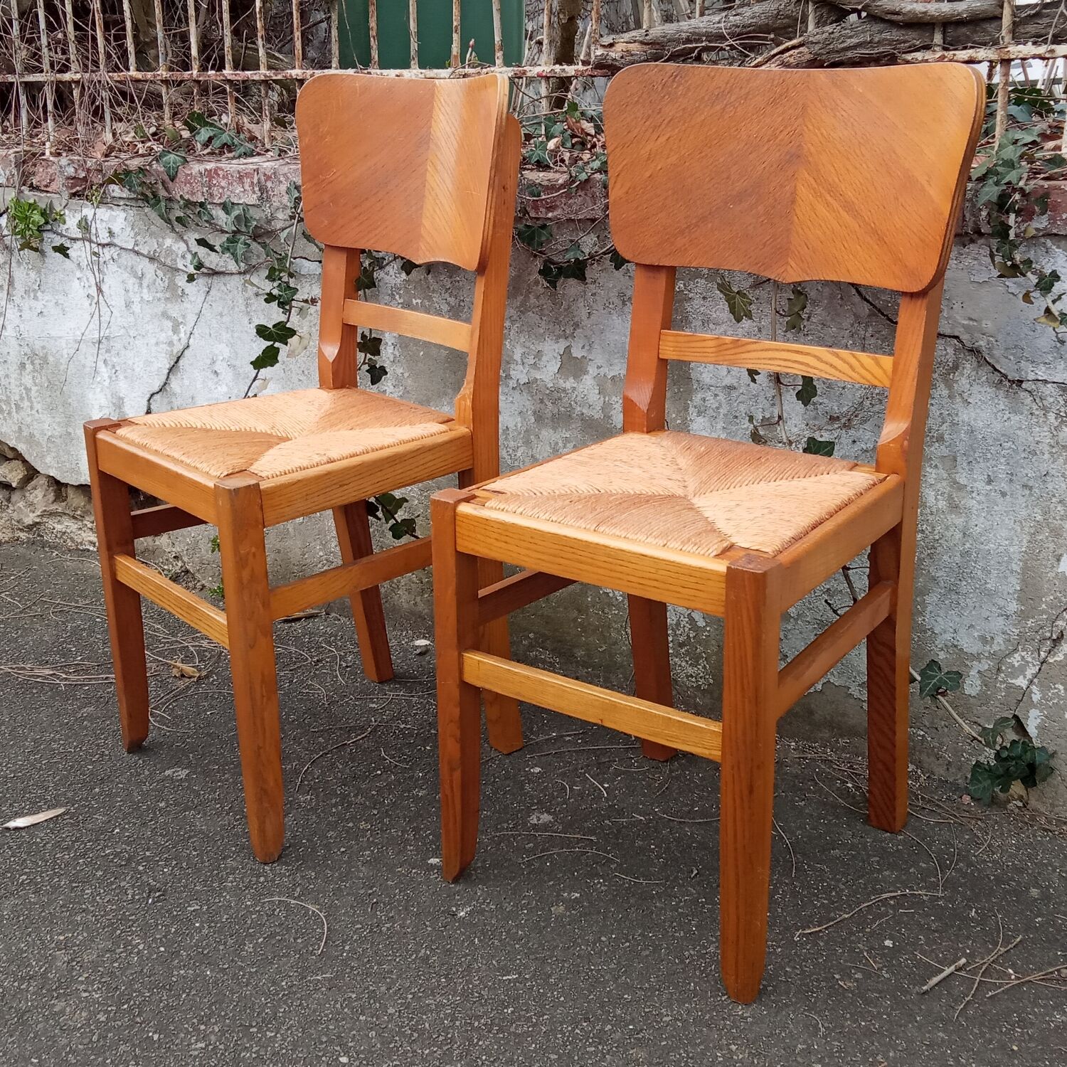 Paire de chaises paillées années 50