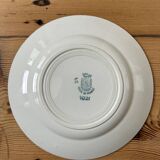 Set of 9 antique flat plates