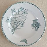 5 Saint Amand Cartels plates