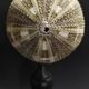 Cabinet of Curiosities sea urchin flower toxopneustes pileolus on a base