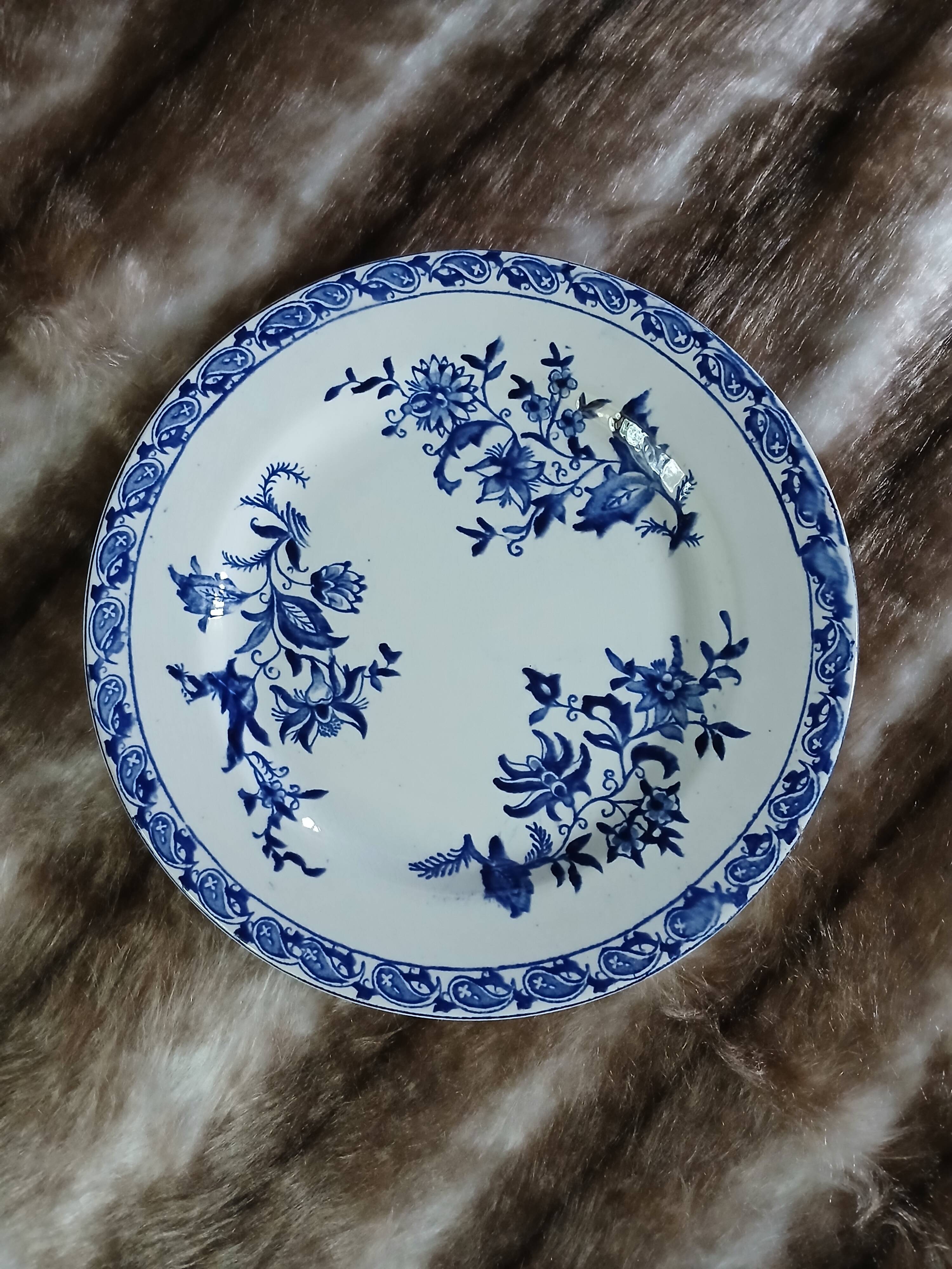 10 assiettes plates anciennes en Terre de fer