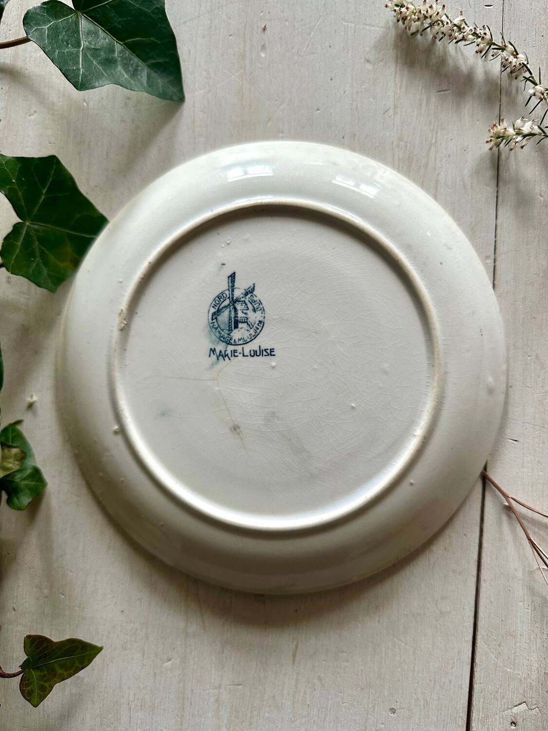 Plate of wolf's mill and hamage