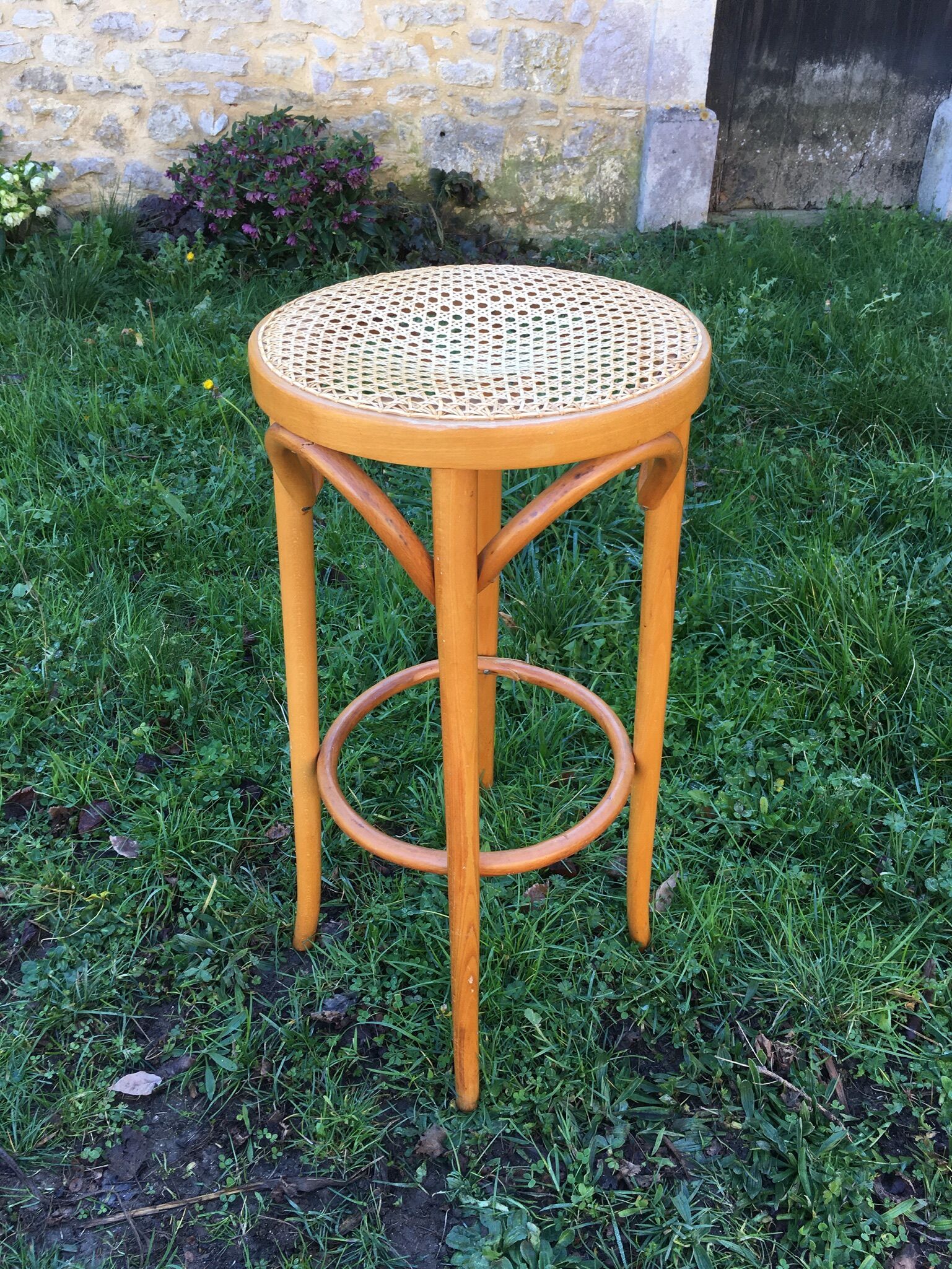 Cane bar and curved wood
