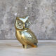 Chouette/hibou en laiton