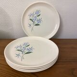 Set of 5 flat plates Sovirel