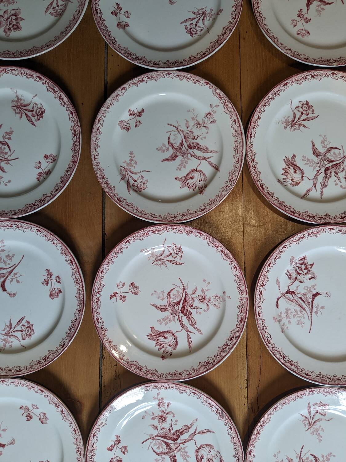 12 assiettes à dessert Sarreguemines Fontanges