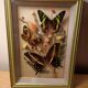 Cadre vitrine papillons