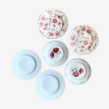 6 floral ceramic plates