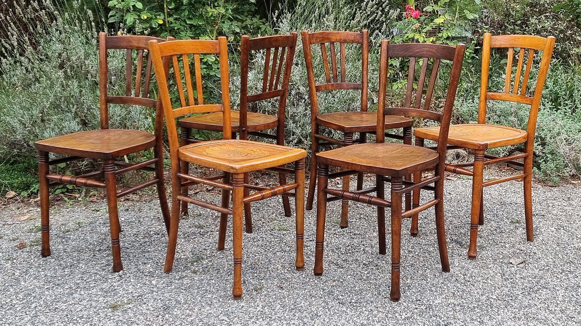 6 chairs bistrot companion 30/40s