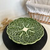 Cabbage plate in green slip