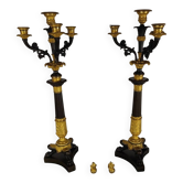 Large Pair of Gilded Bronze Chandeliers - Restoration Period (1815-1830)
