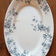 2 dishes Iron Earth