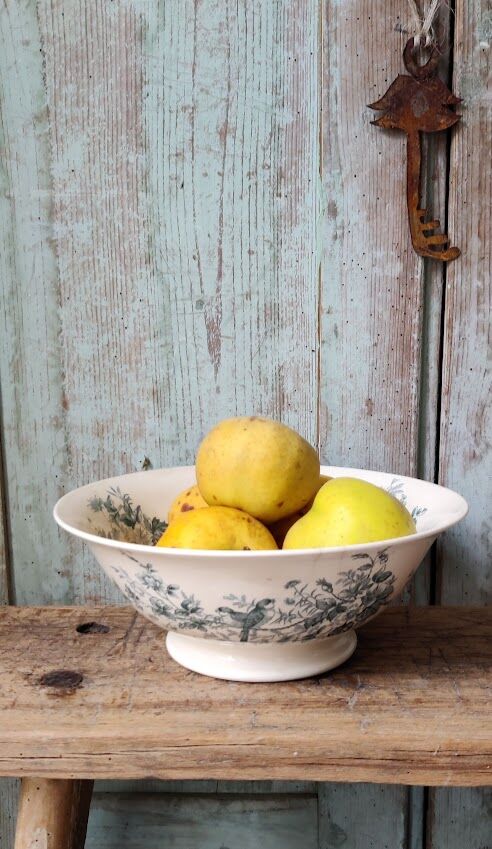 Salad bowl "Cute" from Longwy