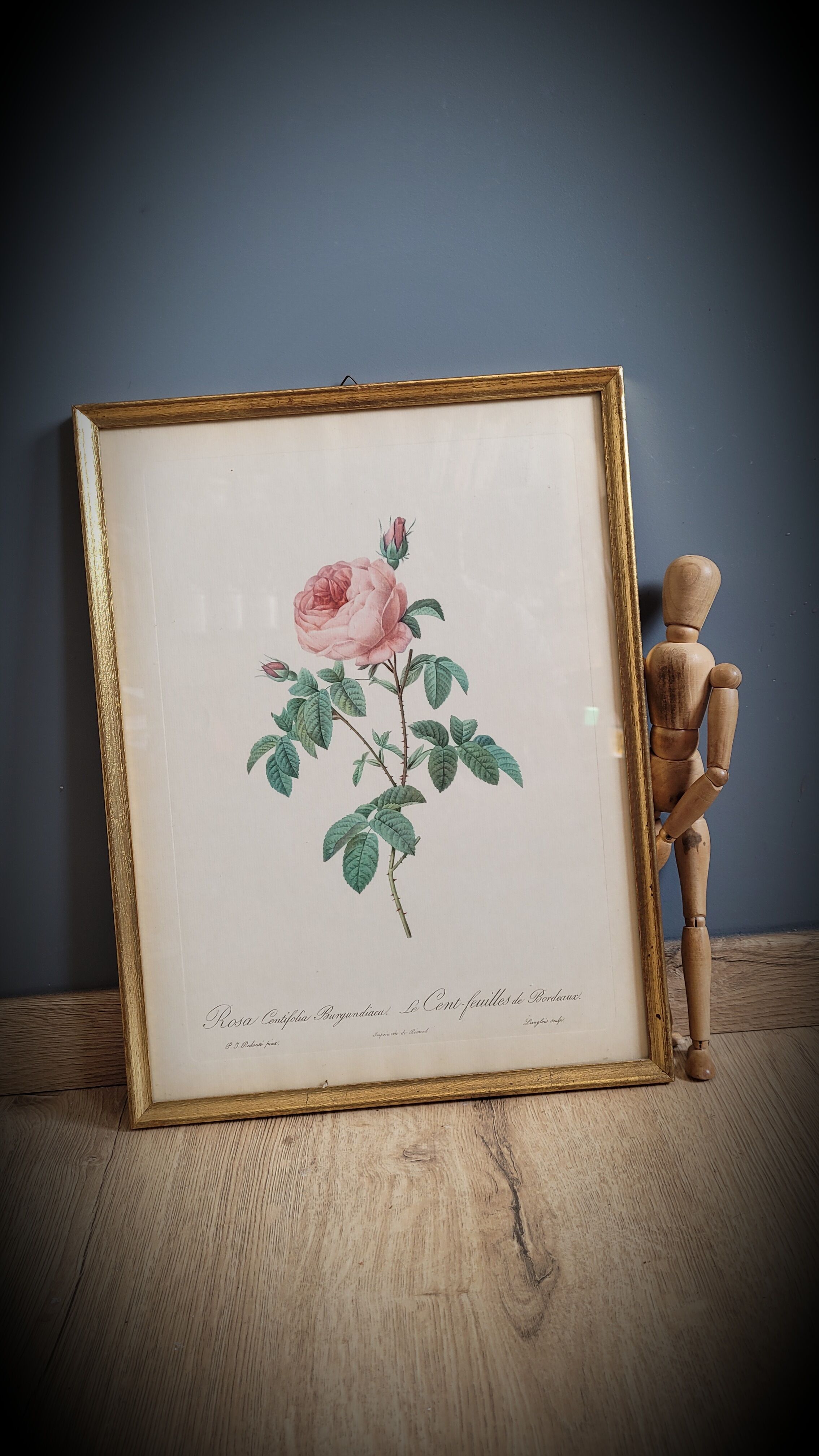 Frame Litho rose Bordeaux