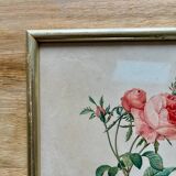 PJ Redouté pink framed lithograph
