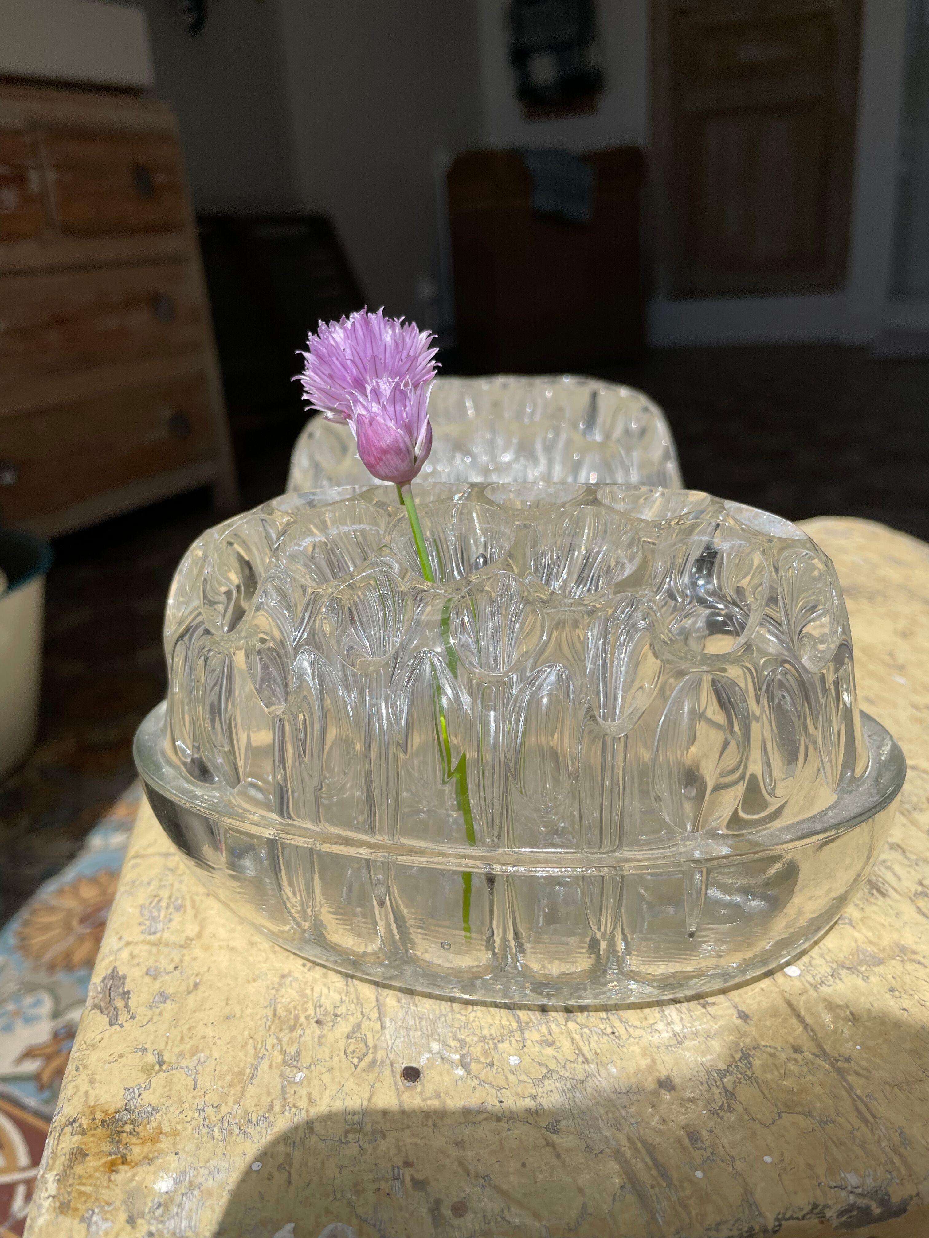 Duo of picnic flowers