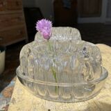 Duo of picnic flowers