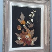 Cadre bois fleurs séchées sous verre fond noir vintage