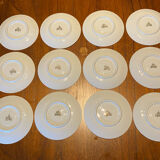 12 cups / saucer Bavaria Porcelain