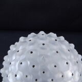 Lalique Cactus 1