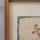 Botanical art print