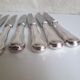 Ercuis set of 12 knives silver metal and stainless steel model Violin