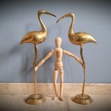 Duo great brass ibis